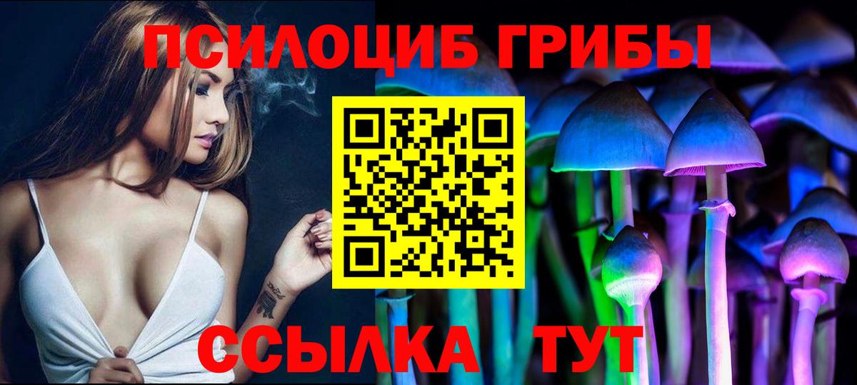 Псилоцибиновые грибы прущие грибы Большой Камень