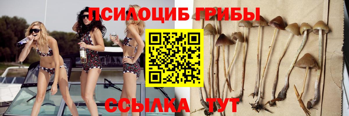 наркота  Вход с VPN  Большой Камень  Галлюциногенные грибы Cubensis 